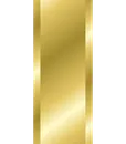 s-0422 lt gold (2)