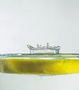 C-80102WS SILVER (4)