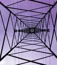 C-80106WS PURPLE