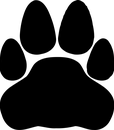 C-80219FQ BLACK (3)