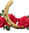 C-80107WS RED