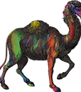 C-80181FU CAMEL (3)