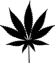 C-80212FQ BLACK(4)