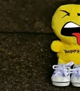 s-0427-mustard-2_336bb99e3df737ae5cee55755ad388e4-_2fb6761e1b283c86d9b8fb56badcc575