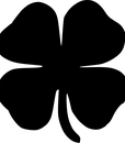 C-80216FQ BLACK (3)