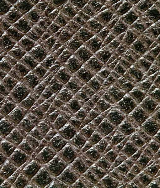 61