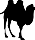 C-80181FU CAMEL