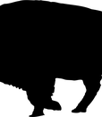 C-80209FQ BLACK (3)
