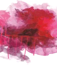 C-80180FU FUSCHIA (2)