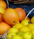 s-0434 orange (3)
