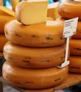C-80123WF YELLOW (3)