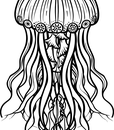 C-80075FJ BLACK (3)